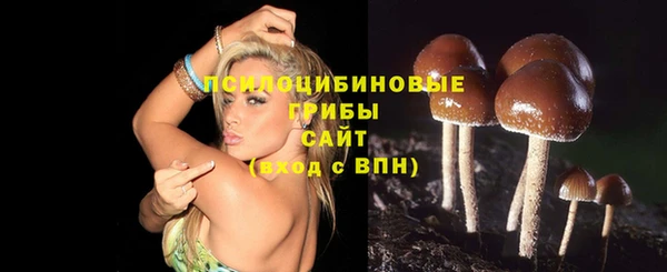 стаф Балахна